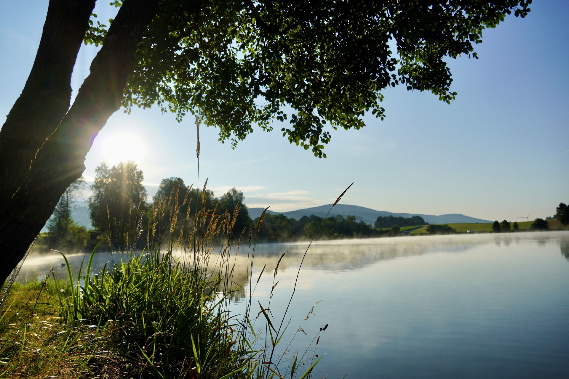 Morgenstimmung mit leichtem Nebel über dem Urlsee in Klaffer am Hochficht
