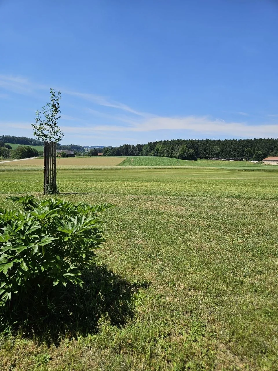 Weiter Blick über Felder und Wiesen rund um das Ferienhaus im Böhmerwald
