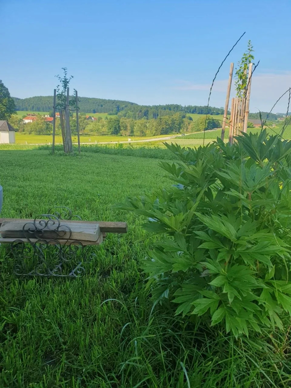 Garten mit Bank und Blick über Wiesen und Wälder im Böhmerwald